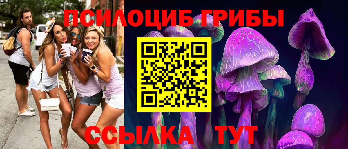 Галлюциногенные грибы MAGIC MUSHROOMS Павлово