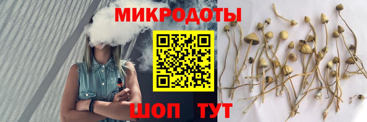 Псилоцибиновые грибы Magic Shrooms  продажа наркотиков  Павлово  Вход с VPN 
